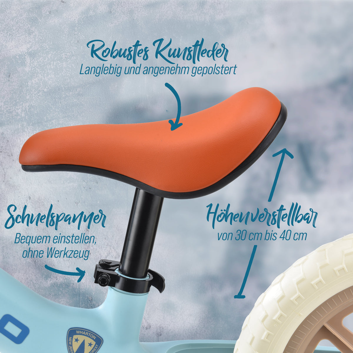 Apollo Funsport CH Trailbuddy Laufrad ab 2 Jahre – 12 Zoll Kinderlaufrad Blue