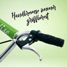 Apollo - Retro Scooter Paradise Roller mit Luftreifen 12,5 Zoll - Grün